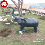 HB11-004 tuong voi da bong