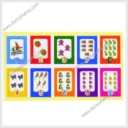 bo-chu-so-va-so-luong