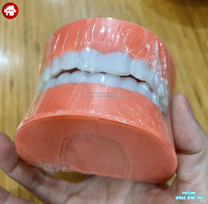 Trồng răng Implant Fast 3D  Phương pháp phục hình răng tân tiến từ Mỹ