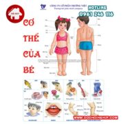 Tranh co the be(convert)