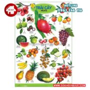 tranh-ve-cac-loai-qua