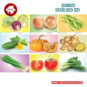 tranh-ve-cac-loai-rau-va-hoa